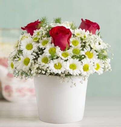 cam vazoda 25 gül Çiçeği & Ürünü Kırmızı Gül Papatya Arajmanı 