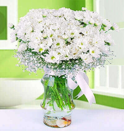 cam vazoda 25 gül Çiçeği & Ürünü Beyaz papatyalar 