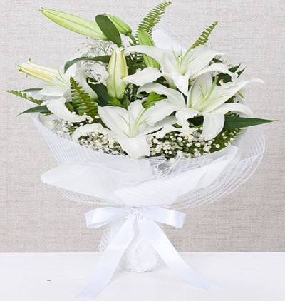 beyaz gül Çiçeği & Ürünü Lilyum Zerafeti 