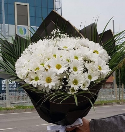 sepette beyaz güller Çiçeği & Ürünü papatya 