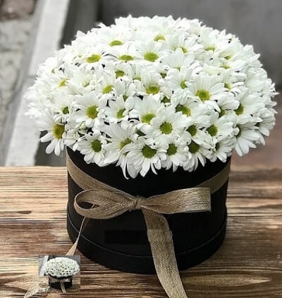 beyaz gül 41 adet Çiçeği & Ürünü Kutuda papatya 