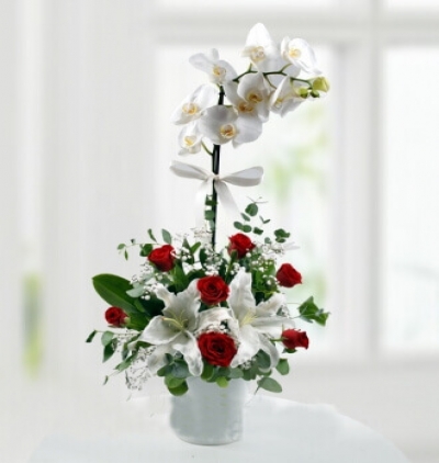 cam vazoda 7 beyaz gül zerafeti Çiçeği & Ürünü Kırmızı-Beyaz İhtişam 