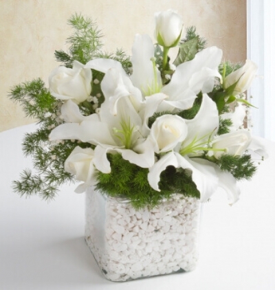 sepet dolusu güller  Çiçeği & Ürünü Beyaz Zerafet 