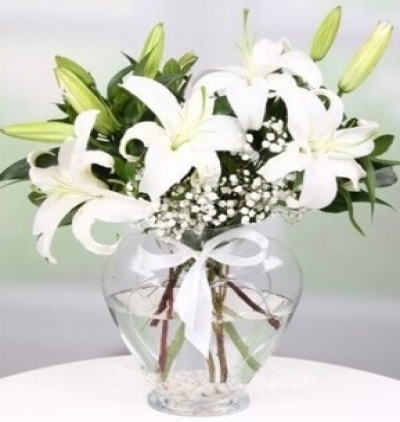 cam vazoda 7 beyaz gül zerafeti Çiçeği & Ürünü Kalp Vazoda Mis Kokulu Lilyumlar 