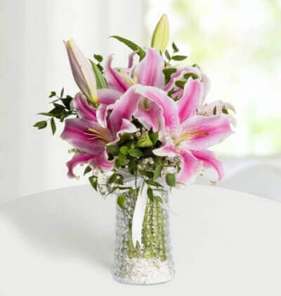 vazoda renkli gerberalar Çiçeği & Ürünü Pembe Rüya 