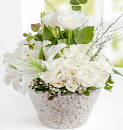 11 beyaz gül Çiçeği & Ürünü Asalet 