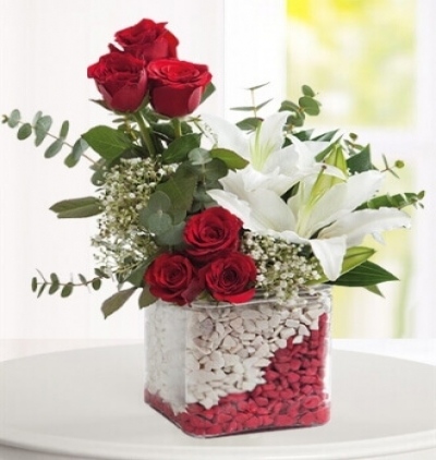 vazoda 5 kırmızı gül ve papatyalar Çiçeği & Ürünü Kırmızı Beyaz 